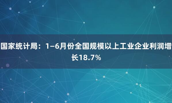 国家统计局：1—6月份全国规模以上工业企业利润增长18.7%