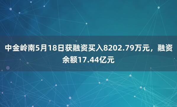 中金岭南5月18日获融资买入8202.79万元，融资余额17.44亿元