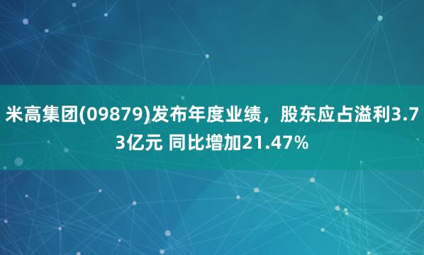 米高集团(09879)发布年度业绩，股东应占溢利3.73亿元 同比增加21.47%