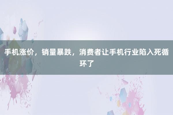手机涨价，销量暴跌，消费者让手机行业陷入死循环了