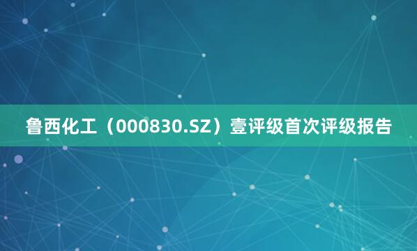 鲁西化工（000830.SZ）壹评级首次评级报告