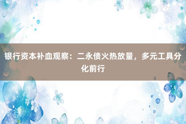 银行资本补血观察：二永债火热放量，多元工具分化前行