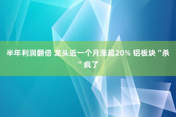 半年利润翻倍 龙头近一个月涨超20% 铝板块“杀”疯了