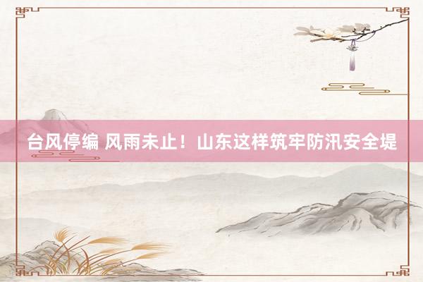 台风停编 风雨未止！山东这样筑牢防汛安全堤
