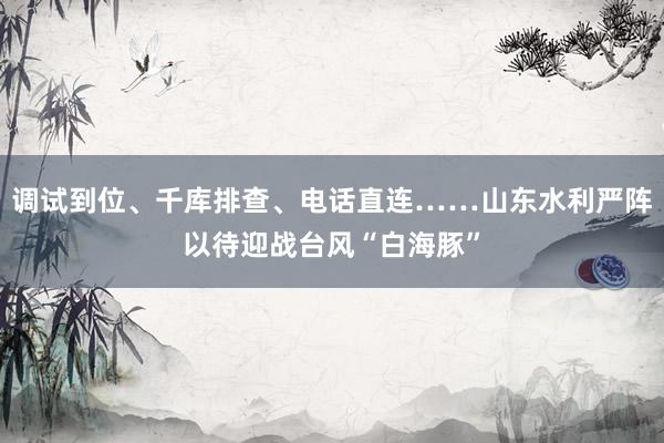 调试到位、千库排查、电话直连……山东水利严阵以待迎战台风“白海豚”