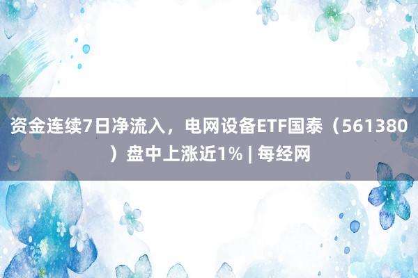 资金连续7日净流入，电网设备ETF国泰（561380）盘中上涨近1% | 每经网