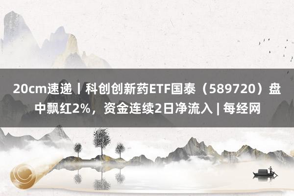 20cm速递丨科创创新药ETF国泰（589720）盘中飘红2%，资金连续2日净流入 | 每经网