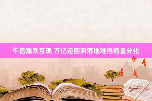 午盘涨跌互现 万亿逆回购落地难挡缩量分化