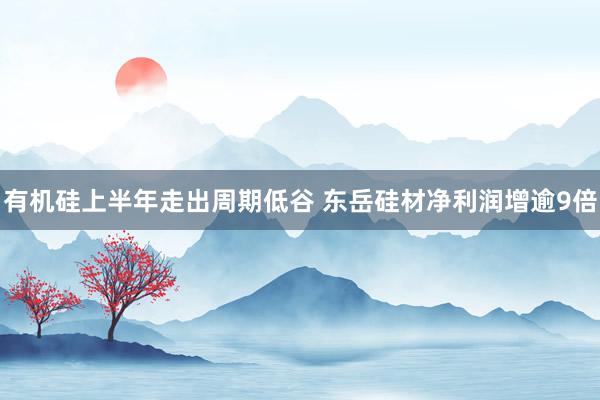 有机硅上半年走出周期低谷 东岳硅材净利润增逾9倍