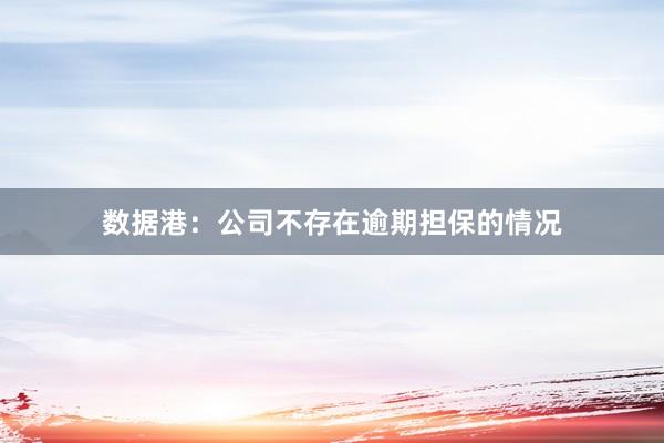 数据港：公司不存在逾期担保的情况