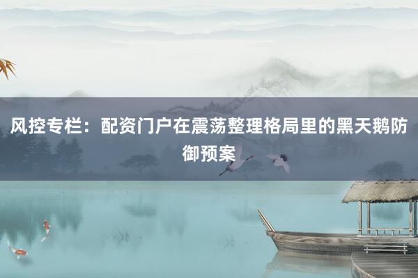 风控专栏：配资门户在震荡整理格局里的黑天鹅防御预案