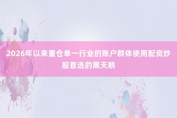 2026年以来重仓单一行业的账户群体使用配资炒股首选的黑天鹅