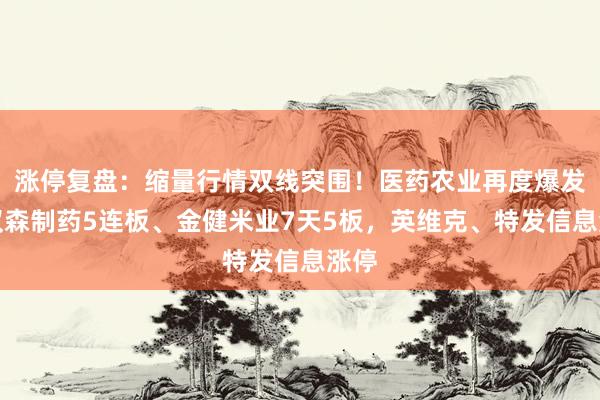 涨停复盘：缩量行情双线突围！医药农业再度爆发，汉森制药5连板、金健米业7天5板，英维克、特发信息涨停