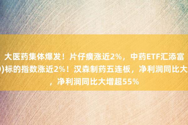 大医药集体爆发！片仔癀涨近2%，中药ETF汇添富(560080)标的指数涨近2%！汉森制药五连板，净利润同比大增超55%
