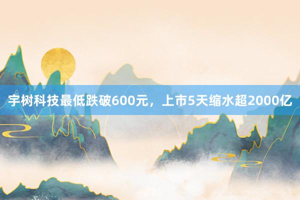 宇树科技最低跌破600元，上市5天缩水超2000亿