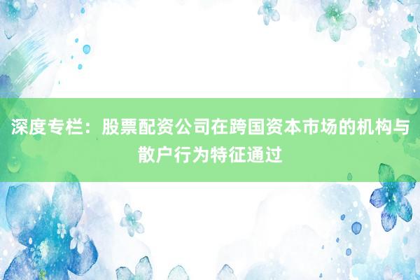 深度专栏：股票配资公司在跨国资本市场的机构与散户行为特征通过