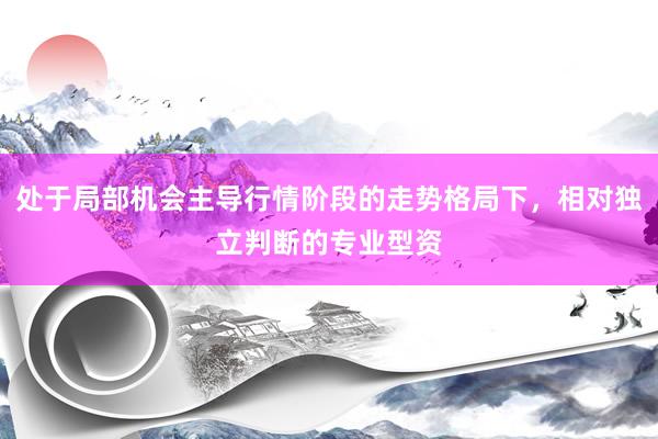 处于局部机会主导行情阶段的走势格局下，相对独立判断的专业型资