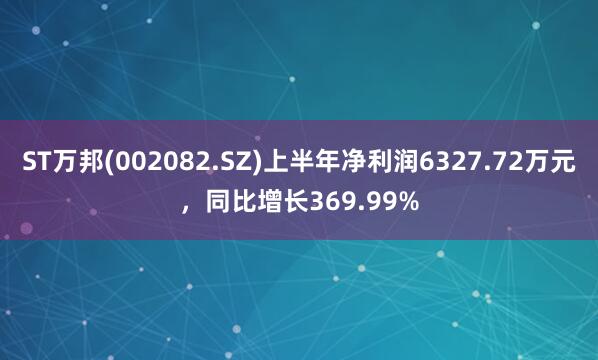 ST万邦(002082.SZ)上半年净利润6327.72万元，同比增长369.99%