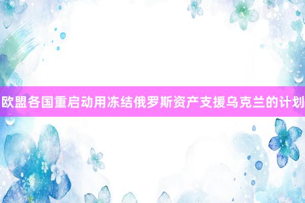 欧盟各国重启动用冻结俄罗斯资产支援乌克兰的计划
