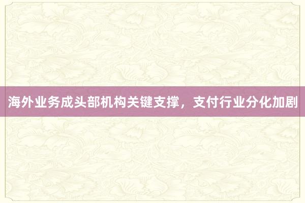 海外业务成头部机构关键支撑，支付行业分化加剧