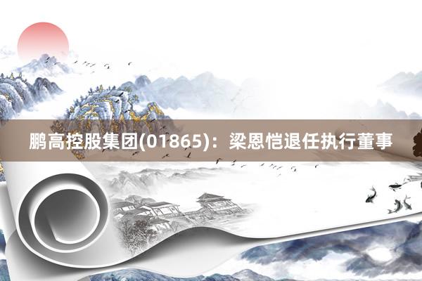 鹏高控股集团(01865)：梁恩恺退任执行董事