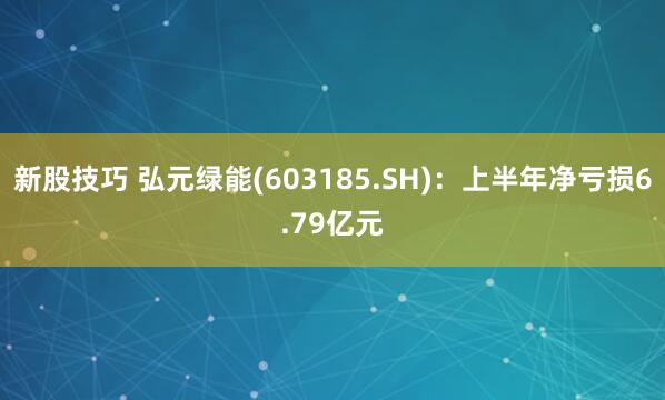新股技巧 弘元绿能(603185.SH)：上半年净亏损6.79亿元