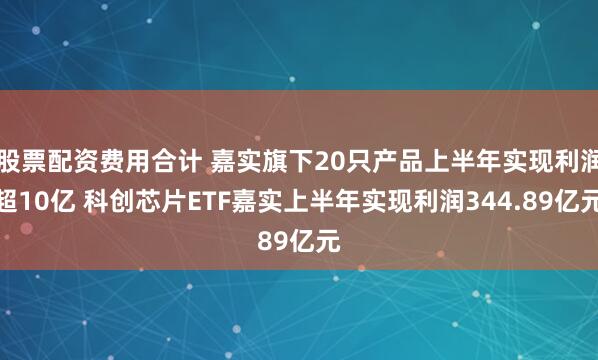 股票配资费用合计 嘉实旗下20只产品上半年实现利润超10亿 科创芯片ETF嘉实上半年实现利润344.89亿元