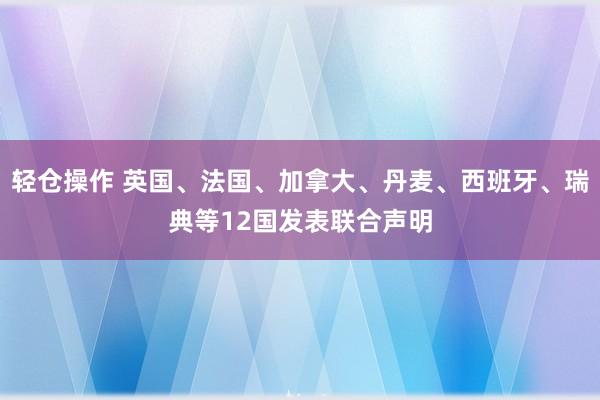 轻仓操作 英国、法国、加拿大、丹麦、西班牙、瑞典等12国发表联合声明