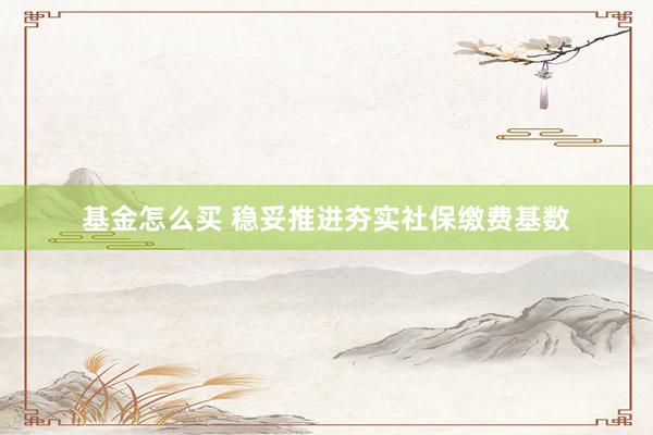 基金怎么买 稳妥推进夯实社保缴费基数