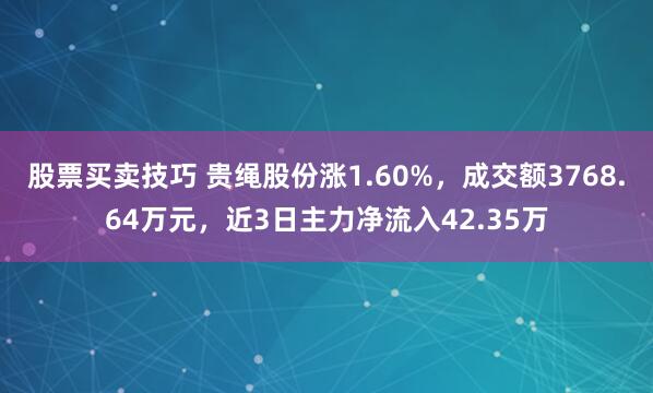 股票买卖技巧 贵绳股份涨1.60%，成交额3768.64万元，近3日主力净流入42.35万