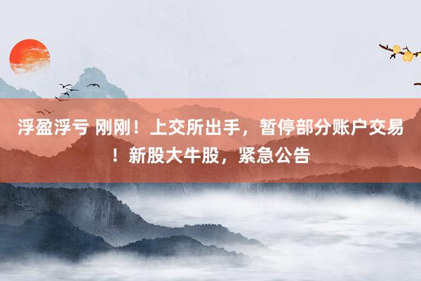 浮盈浮亏 刚刚！上交所出手，暂停部分账户交易！新股大牛股，紧急公告