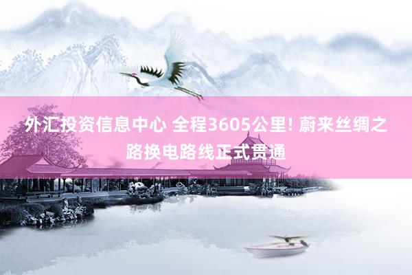 外汇投资信息中心 全程3605公里! 蔚来丝绸之路换电路线正式贯通