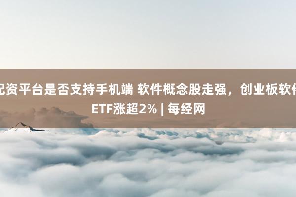 配资平台是否支持手机端 软件概念股走强，创业板软件ETF涨超2% | 每经网