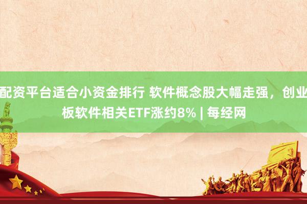 配资平台适合小资金排行 软件概念股大幅走强，创业板软件相关ETF涨约8% | 每经网