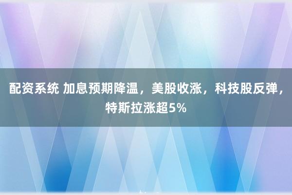配资系统 加息预期降温，美股收涨，科技股反弹，特斯拉涨超5%